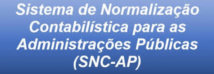 Sistema de Normalização Contabilística para as Administrações Públicas (SNC-AP) | gestor do contrato
